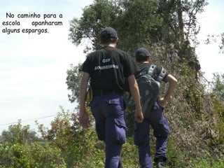 No caminho para a escola apanharam alguns espargos.