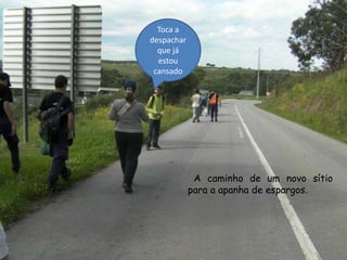 Toca a despachar que já estou cansadoA caminho de um novo sítio para a apanha de espargos.