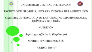 UNIVERSIDAD CENTRAL DEL ECUADOR
FACULTAD DE FILOSOFÍA, LETRAS Y CIENCIAS DE LA EDUCACIÓN
CARRERA DE PEDAGOGÍA DE LAS CIENCIAS EXPERIMENTALES,
QUÍMICA Y BIOLOGÍA
NUTRICIÓN
Asparagus officinalis (Espárrago)
NOMBRE : FABRICIO OSORIO
CURSO: 6to “B”
 