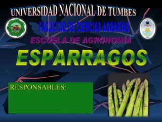 RESPONSABLES: ESPARRAGOS UNIVERSIDAD NACIONAL DE TUMBES FACULTAD DE CIENCIAS AGRARIAS ESCUELA DE AGRONOMÍA 