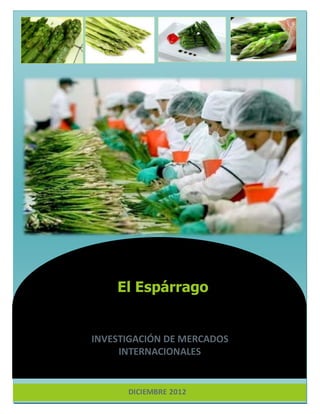 El Espárrago
INVESTIGACIÓN DE MERCADOS
INTERNACIONALES
DICIEMBRE 2012
 