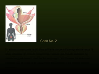 Un exitoso comerciante de 68 años sufría de cáncer de la vejiga desde hacía 16 años.  Después de años de tratamientos médicos que incluían radiación sin obtener ninguna mejoría, optó por los espárragos.  En 3 meses los exámenes revelaron que el tumor de la vejiga había desaparecido y los riñones estaban normales. Caso No. 2   