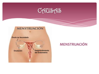 MENSTRUACIÓN
 