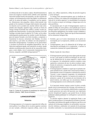 Revista Mexicana de Anestesiología
Ramírez-Aldana L y cols. Espasmo en la vía aérea pediátrica: «¿Qué hacer?»
S160
www.medigraphic.org.mx
en obstrucción de la vía aérea y apnea. Desafortunamente la
reserva de oxígeno es mucho menor, debido a una capacidad
funcional residual mucho más pequeña y un alto consumo de
oxígeno, así la desaturación ocurre más rápida. Las diferencias
entre la vía aérea del adulto y la pediátrica son las siguien-
tes: dimensiones más pequeñas; cabeza relativamente más
grande en los neonatos; la lengua relativamente más grande
en relación con la cavidad oral; maxilar inferior más corto;
paladar más alargado; epiglotis larga, estrecha en forma de
omega; laringe localizada más cefálica; cuerdas vocales an-
guladas más anteriormente; vía aérea más estrecha a nivel del
cartílago cricoides hasta la edad de 10-12 años, así los tubos
endotraqueales pueden pasar las cuerdas vocales fácilmente,
pero de manera forzada a nivel del cricoides y comprimir o
traumatizar la mucosa; estructuras más blandas; vía aérea
más reactiva y, por tanto, los infantes son más propensos a
desarrollar laringoespasmo. Considerar en los preescolares
y escolares la presencia de amígdalas hipertróﬁcas, aun sin
infección respiratoria aguda, esto estrecha la vía aérea, siendo
además un problema para inserción de las mascarillas larín-
geas a estas edades, con el consecuente traumatismo de la
mucosa, sangrado y probable laringoespasmo(3,4).
apnea, tos, reﬂejo espiratorio, reﬂejo de presión negativa
y cierre laríngeo.
La laringe tiene mecanorreceptores que se clasiﬁcan en:
presores, de ﬂujo y de conducción (estimulados por los mús-
culos de la vía aérea superior). La sensibilidad a la irritación
de la vía aérea es mayor en la laringe y tráquea que en la vía
aérea periférica.
El mecanismo por el cual el laringoespasmo ocurre es
debido al reﬂejo de cierre glótico, está mediado por el nervio
laríngeo superior y persiste aun cesado el estímulo;involucra
las estructuras supraglóticas, las cuerdas vocales verdaderas y
las cuerdas vocales falsas. Según este tipo de funcionamiento
de las estructuras laríngeas hay:
• Estridor, que es el cierre intermitente de la glotis in-
terrumpida por la respiración, debido a un mecanismo
valvular.
• Laringoespasmo, que es la obturación de la laringe con
interrupción prolongada de la respiración, e incluso la
contracción continua de la pared abdominal.
Desde el punto de vista clínico:
• El laringoespasmo parcial que tiene algún grado de pasaje
de aire y que puede ser difícil de distinguir de otras cau-
sas de obstrucción de vía aérea superior y suele ocurrir
en respuesta a la estimulación sensitiva somática como
aspiración o presencia de una vía aérea en planos super-
ﬁciales de anestesia y recuperación, puede evolucionar al
laringoespasmo total.
• El laringoespasmo completo es aquel que no permite nin-
guna entrada de aire y puede tener consecuencias fatales, y
generalmente ocurre en respuesta a estimulación sensitiva
visceral y como respuesta exagerada a la estimulación
del nervio laríngeo superior. La ausencia de sonidos res-
piratorios a pesar de la existencia de movimientos de la
pared torácica, nos indica que nos encontramos frente a
un laringoespasmo severo (obstrucción completa).
Si el paciente intenta respirar contra la glotis cerrada,
puede ocurrir tironeamiento de la laringe, movimientos to-
rácicos inefectivos, movimientos abdominales exagerados
y puede generarse por parte del paciente una importante
presión intrapleural negativa, que puede llevar al edema
pulmonar (edema pulmonar no cardiogénico o por presión
negativa).
La presión negativa durante la inspiración frente a una
glotis cerrada promueve la transudación de ﬂuido al alvéolo.
Se produce una obstrucción aguda con hipoxia, que lleva a un
aumento de la descarga simpática, la cual produce vasocons-
tricción sistémica y pulmonar con aumento de la postcarga
de ambos ventrículos. La vasoconstricción arterial pulmonar
LARINGOESPASMO
Deﬁnición
El laringoespasmo es la respuesta exagerada del reﬂejo de
cierre glótico. Los reﬂejos de la vía aérea superior consisten
en una variada y diferente respuesta reﬂeja, como la de
Adulto Lactante
LenguaLengua
Mayor en relaciónMayor en relación
con la cavidad oralcon la cavidad oral
en los lactantesen los lactantes
EpiglotisEpiglotis
Más estrecha y corta, en formaMás estrecha y corta, en forma
de U y protruyente en los lactantesde U y protruyente en los lactantes
Pliegues ariepiglóticosPliegues ariepiglóticos
Huesos hioidesHuesos hioides
No calciﬁcado en los lactantesNo calciﬁcado en los lactantes
LaringeLaringe
Más alta en el cuello de los lactantesMás alta en el cuello de los lactantes
(C3-4) que en el de los adultos (C5-6)(C3-4) que en el de los adultos (C5-6)
Angulada, apareciendo en situaciónAngulada, apareciendo en situación
más anteriormás anterior
Cartílago tiroidesCartílago tiroides
No calciﬁcado en los lactantesNo calciﬁcado en los lactantes
CricoidesCricoides
De forma cónica yDe forma cónica y
estrecho en los lactantesestrecho en los lactantes
TráqueaTráquea
La desviación traqueal de los lactantesLa desviación traqueal de los lactantes
se hace hacia abajo y hacia atrásse hace hacia abajo y hacia atrás
EsófagoEsófago
Coté CJ, Todres ID: A practice of anesthesia for infants and
children, Orlando, 1986, Grune & Stratton.
C3C3
C4C4
C5C5
C6C6
C2C2
C3C3
C4C4
C5C5
 