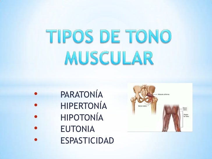 tono muscular tono muscular