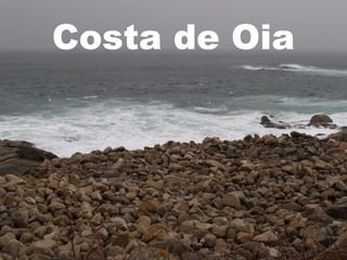 Costa de Oia
 