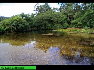 Rio Castro en Mintiráns
 
