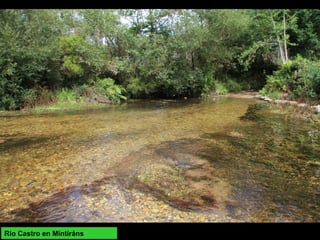Rio Castro en Mintiráns
 