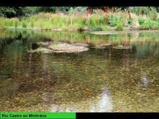 Rio Castro en Mintiráns
 