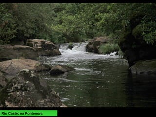 Rio Castro na Pontenova
 