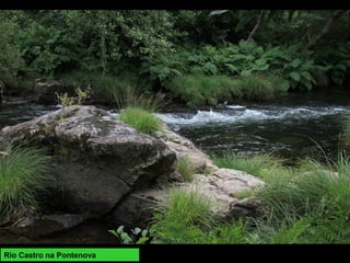 Rio Castro na Pontenova
 