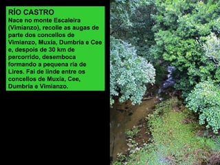 RÍO CASTRO
Nace no monte Escaleira
(Vimianzo), recolle as augas de
parte dos concellos de
Vimianzo, Muxía, Dumbría e Cee
e, despois de 30 km de
percorrido, desemboca
formando a pequena ría de
Lires. Fai de linde entre os
concellos de Muxía, Cee,
Dumbría e Vimianzo.
 