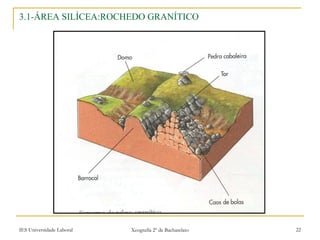 3.1-ÁREA SILÍCEA:ROCHEDO GRANÍTICO 