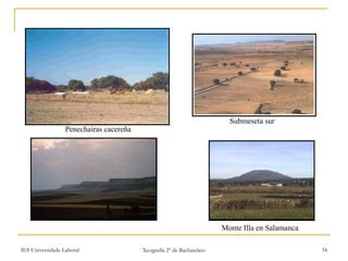 Penechairas cacereña Monte Illa en Salamanca Submeseta sur 