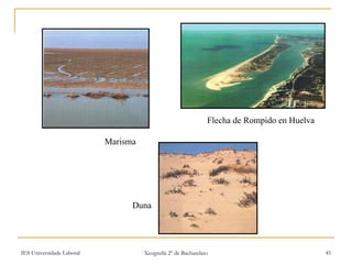 Marisma Duna Flecha de Rompido en Huelva 
