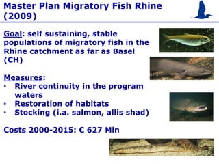 ESPC3 - Tabea Stötter – Rhine Commission - 50 years of restoration | PDF