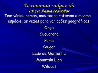 Taxonomia vulgar da
onça Puma concolor

Tem vários nomes, mas todos referem a mesma
espécie, as vezes para variações geográficas:
Onça
Suçuarana
Puma
Cougar
Leão de Montanha
Mountain Lion
Wildcat

 