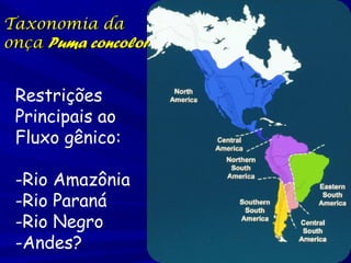 Taxonomia da
onça Puma concolor

Restrições
Principais ao
Fluxo gênico:
-Rio Amazônia
-Rio Paraná
-Rio Negro
-Andes?

 