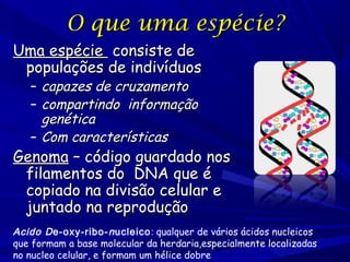 O que uma espécie?
Uma espécie consiste de
populações de indivíduos
– capazes de cruzamento
– compartindo informação
genética
– Com características

Genoma – código guardado nos
filamentos do DNA que é
copiado na divisão celular e
juntado na reprodução
Acido D e-oxy-ribo- n ucleico: qualquer de vários ácidos nucleicos
que formam a base molecular da herdaria,especialmente localizadas
no nucleo celular, e formam um hélice dobre

 