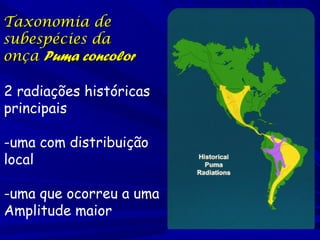Taxonomia de
subespécies da
onça Puma concolor
2 radiações históricas
principais
-uma com distribuição
local
-uma que ocorreu a uma
Amplitude maior

 