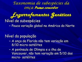 Taxonomia de subespécies da
onça Puma concolor

Engarrafamentos Genéticos

Nível de subespécies

– Pouca variação global na América do Norte

Nível da população

– A onça da Florida não tem variação em
8/10 micro-satélites
– A península de Olimpia e a ilha de
Vancouver, não tem variação em 5/10 dos
micro- satélites

 