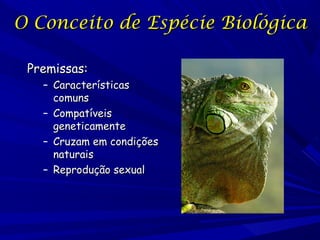 O Conceito de Espécie Biológica
Premissas:

– Características
comuns
– Compatíveis
geneticamente
– Cruzam em condições
naturais
– Reprodução sexual

 