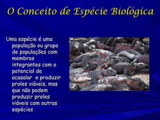 O Conceito de Espécie Biológica
Uma espécie é uma
população ou grupo
de populações com
membros
integrantes com o
potencial de
acasalar e produzir
proles viáveis, mas
que não podem
produzir proles
viáveis com outras
espécies

 