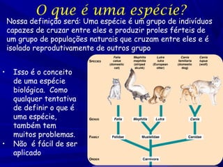 O que é uma espécie?

Nossa definição será: Uma espécie é um grupo de indivíduos
capazes de cruzar entre eles e produzir proles férteis de
um grupo de populações naturais que cruzam entre eles e é
isolado reprodutivamente de outros grupo
•

•

Isso é o conceito
de uma espécie
biológica. Como
qualquer tentativa
de definir o que é
uma espécie,
também tem
muitos problemas.
Não é fácil de ser
aplicado

 