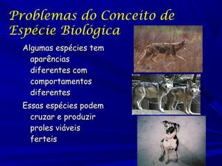 Problemas do Conceito de
Espécie Biológica
Algumas espécies tem
aparências
diferentes com
comportamentos
diferentes
Essas espécies podem
cruzar e produzir
proles viáveis
ferteis

 