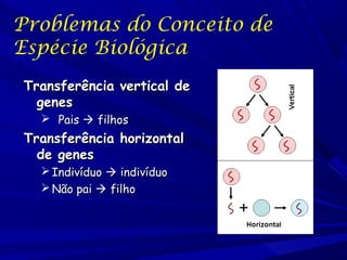Problemas do Conceito de
Espécie Biológica
Transferência vertical de
genes
 Pais  filhos

Transferência horizontal
de genes
 Indivíduo  indivíduo
 Não pai  filho

 