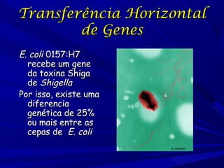 Transferência Horizontal
de Genes
E. coli 0157:H7
recebe um gene
da toxina Shiga
de Shigella
Por isso, existe uma
diferencia
genética de 25%
ou mais entre as
cepas de E. coli

 