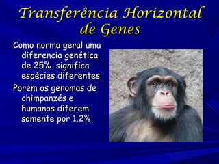 Transferência Horizontal
de Genes

Como norma geral uma
diferencia genética
de 25% significa
espécies diferentes
Porem os genomas de
chimpanzés e
humanos diferem
somente por 1.2%

 