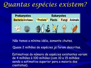 Quantas espécies existem?

Não temos a mínima idéia, somente chutes.
Quase 2 milhões de espécies já foram descritas.
Estimativas do número de espécies existentes variam
de 4 milhões à 100 milhões (com 10 a 15 milhões
sendo a estimativa superior para a maioria dos
cientistas).

 