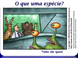 O que uma espécie?

Todos são iguais!

 