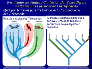 Resultados de Análise Cladística As Vezes Difere
de Esquemas Clássicas de Classificação
Qual par tem mais parentesco? Lagarto / crocodilo ou
ave / crocodilo?
Relação clássica dos Tetrapodes

A análise cladística indica que o
par ave / crocodilo tem mais
parentesco do que lagarto /
crocodilo..

 