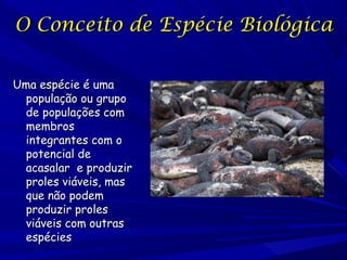 O Conceito de Espécie Biológica
Uma espécie é uma
população ou grupo
de populações com
membros
integrantes com o
potencial...