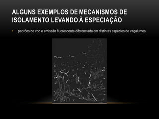 ALGUNS EXEMPLOS DE MECANISMOS DE
ISOLAMENTO LEVANDO À ESPECIAÇÃO
•   padrões de voo e emissão fluorescente diferenciada em distintas espécies de vagalumes.
 