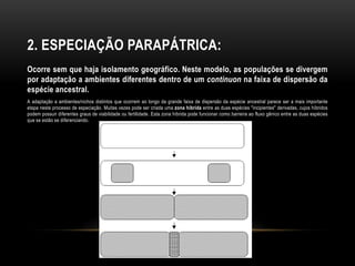 2. ESPECIAÇÃO PARAPÁTRICA:
Ocorre sem que haja isolamento geográfico. Neste modelo, as populações se divergem
por adaptação a ambientes diferentes dentro de um continuon na faixa de dispersão da
espécie ancestral.
A adaptação a ambientes/nichos distintos que ocorrem ao longo da grande faixa de dispersão da espécie ancestral parece ser a mais importante
etapa neste processo de especiação. Muitas vezes pode ser criada uma zona híbrida entre as duas espécies "incipientes" derivadas, cujos híbridos
podem possuir diferentes graus de viabilidade ou fertilidade. Esta zona híbrida pode funcionar como barreira ao fluxo gênico entre as duas espécies
que se estão se diferenciando.
 