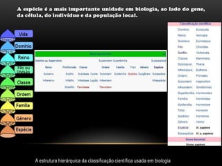 A espécie é a mais importante unidade em biologia, ao lado do gene,
da célula, do indivíduo e da população local.




      A estrutura hierárquica da classificação científica usada em biologia
 