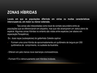 ZONAS HÍBRIDAS
Locais em que as populações diferindo em várias ou muitas características
intercruzam-se, em maior ou menor extensão.
           Tais zonas são interpretadas como local de contato secundário entre as
populações que se diferenciaram em alopatria, mas que não alcançaram um status pleno de
espécie. Algumas zonas híbridas no entanto são vistas entre espécies (ver abaixo em
especiação Parapátrica).
Ex.: duas raças (subespécies) do gafanhoto Caledia captiva:
-   Formam uma zona híbrida de aproximadamente um quilômetro de largura por 200
    quilômetros de comprimento, no sudeste da Austrália.

- Diferem em pelo menos nove rearranjos cromossômicos.

- Formam F2 e retrocruzamento com híbridos inviáveis.
 