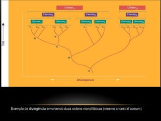 Exemplo de divergência envolvendo duas ordens monofiláticas (mesmo ancestral comum)
 