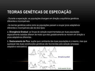 TEORIAS GENÉTICAS DE ESPECIAÇÃO
- Durante a especiação, as populações divergem em direção a equilíbrios genéticos
diferentes e incompatíveis
- As teorias genéticas sobre como as populações passam a ocupar picos adaptativos
diferentes e incompatíveis são de dois tipos:
a. Divergência Gradual: as forças de seleção experimentadas por duas populações
espacialmente isoladas diferem de modo que elas gradativamente se movem em direção a
picos adaptativos diferentes.
b. Deslocamento de Pico: supõe que o ambiente das duas populações é o mesmo, mas que
quaisquer das duas constituições genéticas são favorecidas pela seleção (processo
adaptativo estocástico).
 