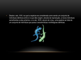 •   Desde o séc. XVII, na qual a espécie era considerada como sendo um conjunto de
    indivíduos idênticos entre si e que dão origem, através da reprodução, a novos indivíduos
    semelhantes a eles próprios, e no séc. XVIII, século de Lineu, uma espécie se trata de
    um conjunto de indivíduos que possui características morfológicas idênticas.
 