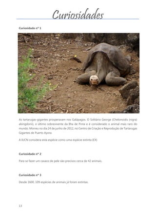 13
Curiosidade nº 1
As tartarugas-gigantes prosperavam nos Galápagos. O Solitário George (Chelonoidis (nigra)
abingdonii), o último sobrevivente da Ilha de Pinta e é considerado o animal mais raro do
mundo. Morreu no dia 24 de junho de 2012, no Centro de Criação e Reprodução de Tartarugas
Gigantes de Puerto Ayora.
A IUCN considera esta espécie como uma espécie extinta (EX)
Curiosidade nº 2
Para se fazer um casaco de pele são precisos cerca de 42 animais.
Curiosidade nº 3
Desde 1600, 109 espécies de animais já foram extintas.
Curiosidades
 