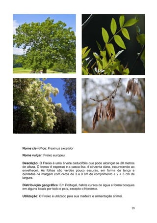 Espécies autóctones de portugal