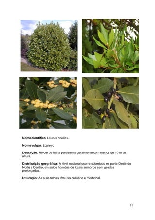 Espécies autóctones de portugal