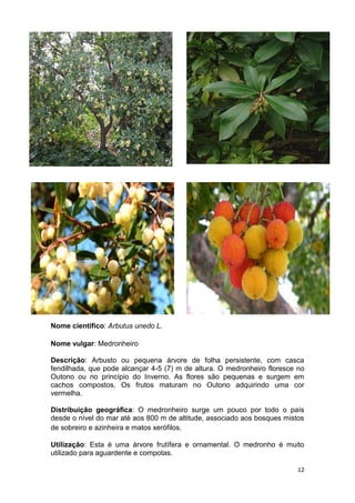 Espécies autóctones de portugal