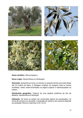 Espécies autóctones de portugal