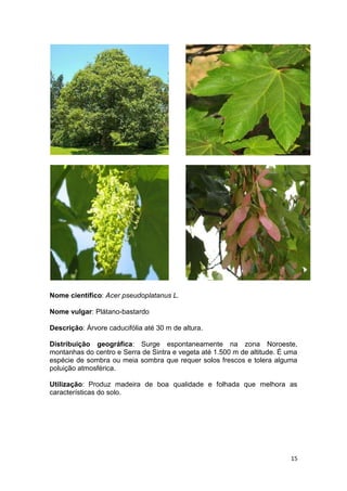 Espécies autóctones de portugal