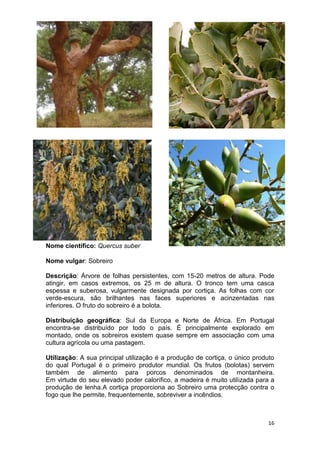 Espécies autóctones de portugal